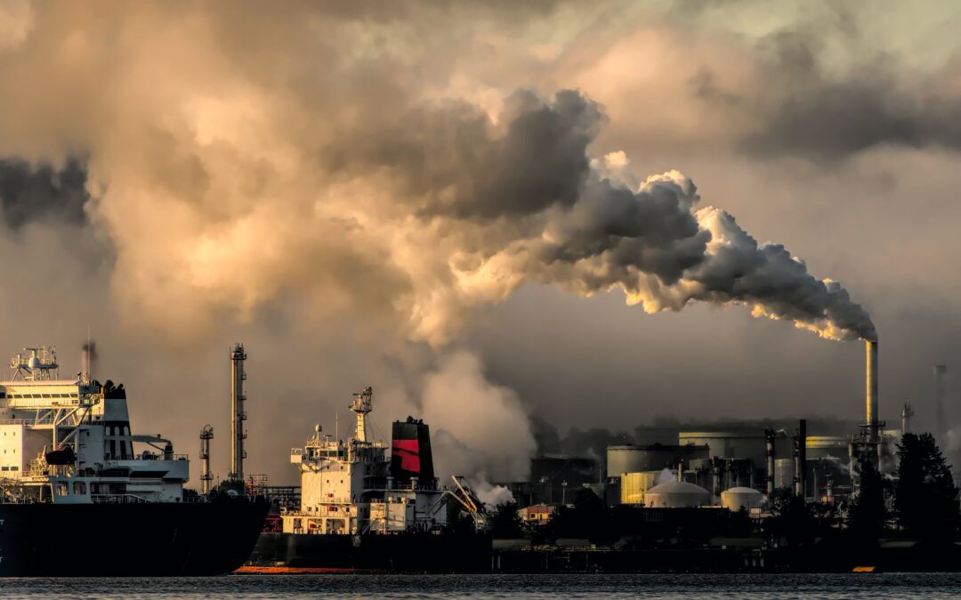 5 manières de réduire son impact environnemental