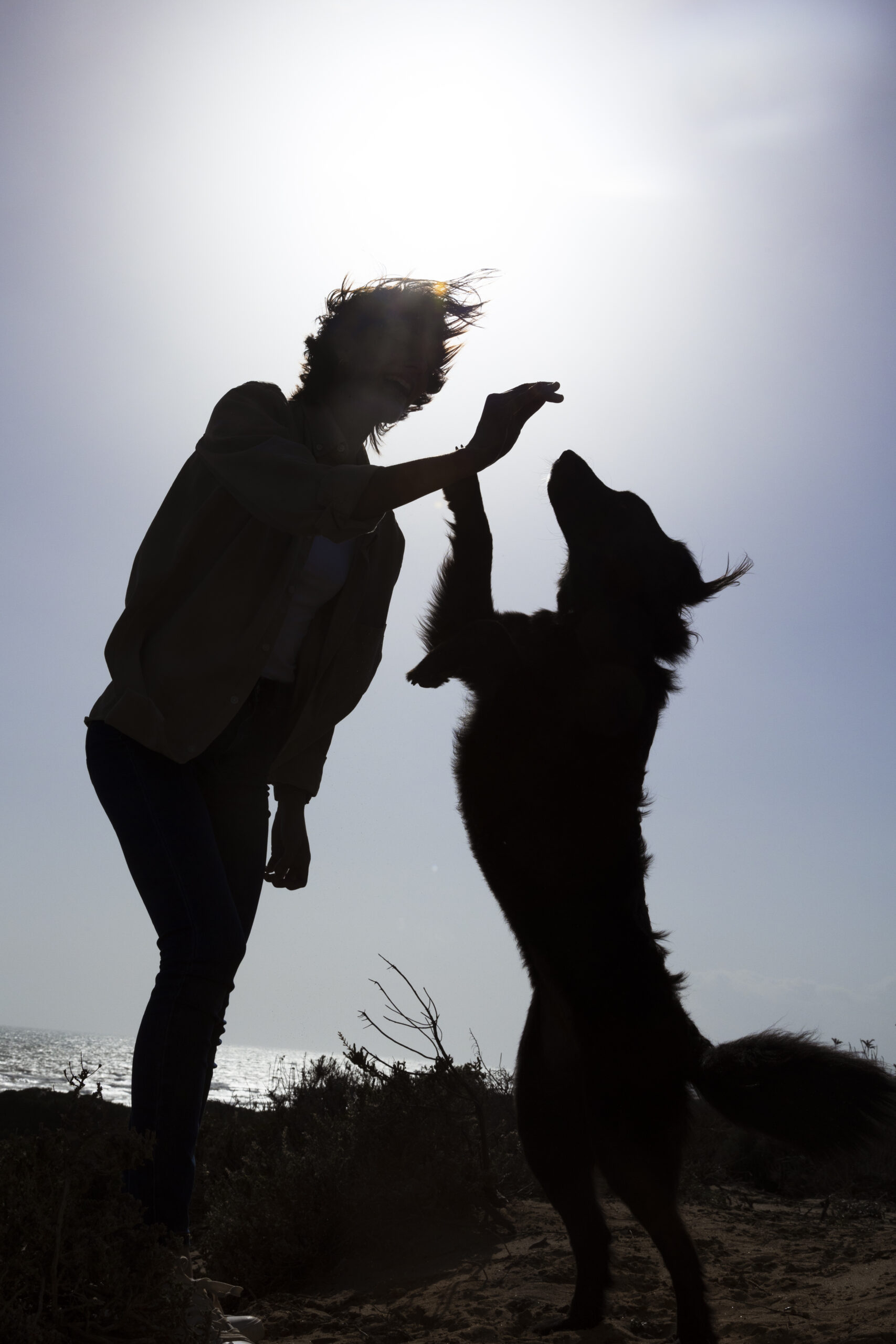 Les métiers au contact de la nature ou des animaux sont épanouissants pour les hypersensibles.